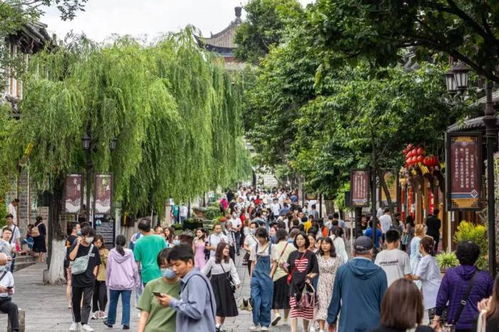 還悶在家里？這些旅游景點都要爆了，旅行社服務網點旅游招攬正當時