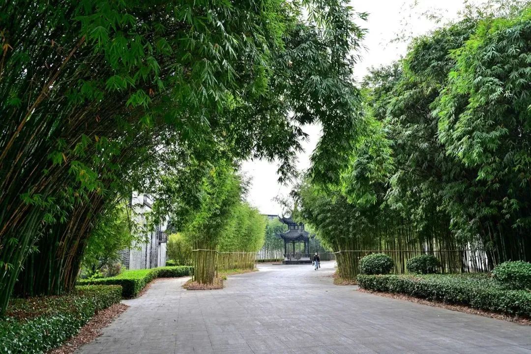 白云邊連續五年榮登旅行社服務網點旅游招徠正面清單，彰顯卓越服務品質