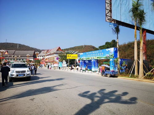 勐?？h市場監(jiān)督管理局強(qiáng)化2019年首屆打洛口岸工藝品展銷會(huì)及旅行社服務(wù)監(jiān)管