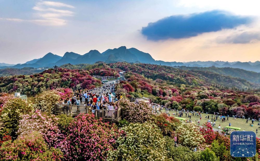 詩意中國丨春日上春山 一場與時(shí)光的溫柔邂逅
