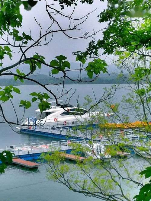 五一出游注意 安徽4A級及以上景區(qū)全部預(yù)約，旅行社服務(wù)網(wǎng)點(diǎn)規(guī)范招徠